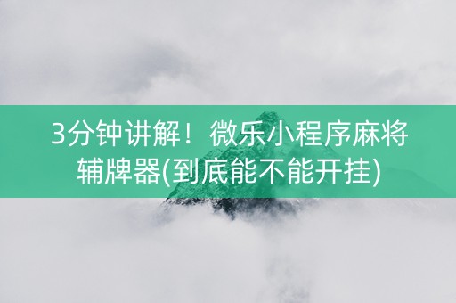 3分钟讲解！微乐小程序麻将辅牌器(到底能不能开挂)