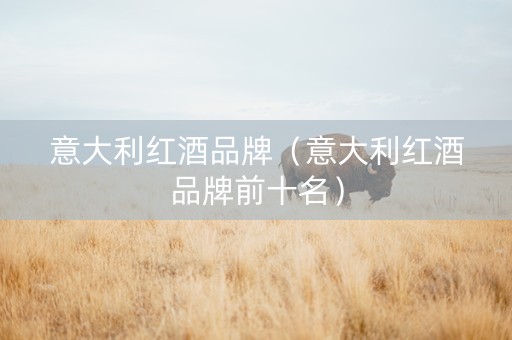意大利红酒品牌（意大利红酒品牌前十名）
