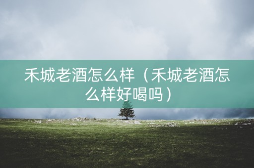 禾城老酒怎么样（禾城老酒怎么样好喝吗）