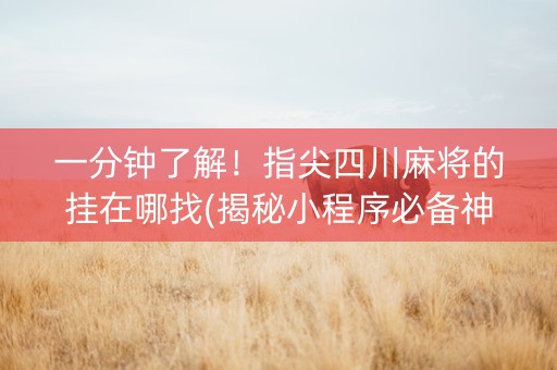 一分钟了解！指尖四川麻将的挂在哪找(揭秘小程序必备神器)