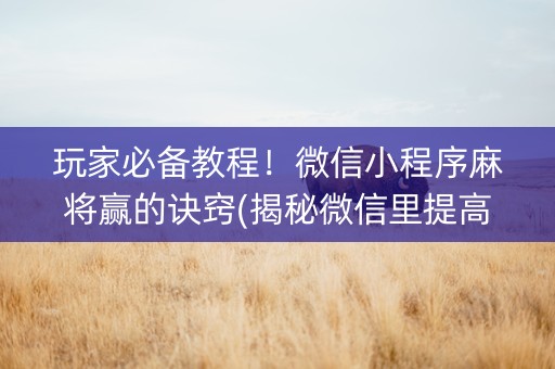 玩家必备教程！微信小程序麻将赢的诀窍(揭秘微信里提高赢的概率)