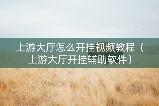 上游大厅怎么开挂视频教程（上游大厅开挂辅助软件）