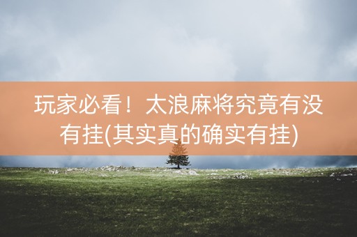 玩家必看！太浪麻将究竟有没有挂(其实真的确实有挂)