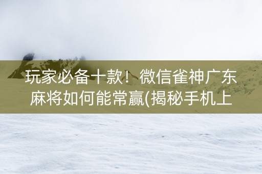 玩家必备十款！微信雀神广东麻将如何能常赢(揭秘手机上输赢规律)