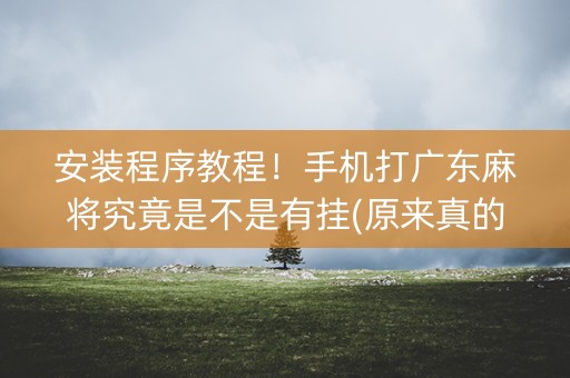 安装程序教程！手机打广东麻将究竟是不是有挂(原来真的有挂)