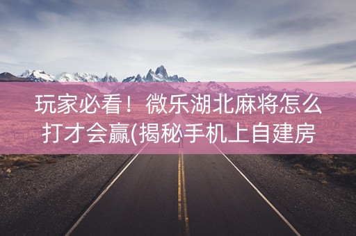 玩家必看！微乐湖北麻将怎么打才会赢(揭秘手机上自建房怎么赢)
