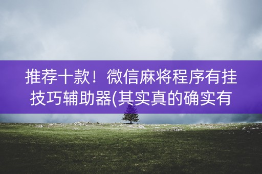 推荐十款！微信麻将程序有挂技巧辅助器(其实真的确实有挂)