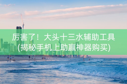 厉害了！大头十三水辅助工具(揭秘手机上助赢神器购买)