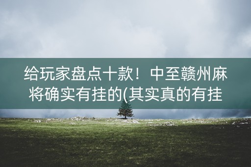 给玩家盘点十款！中至赣州麻将确实有挂的(其实真的有挂)