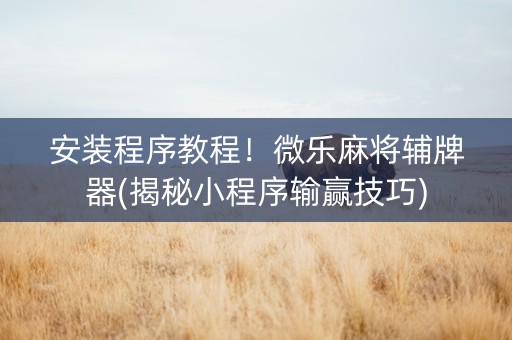 安装程序教程！微乐麻将辅牌器(揭秘小程序输赢技巧)