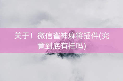 关于！微信雀神麻将插件(究竟到底有挂吗)