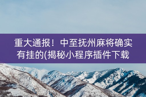 重大通报！中至抚州麻将确实有挂的(揭秘小程序插件下载)