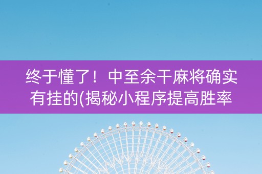 终于懂了！中至余干麻将确实有挂的(揭秘小程序提高胜率)