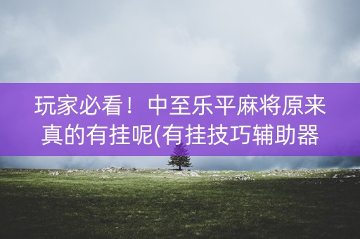 玩家必看！中至乐平麻将原来真的有挂呢(有挂技巧辅助器)