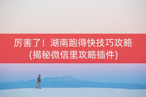 厉害了！湖南跑得快技巧攻略(揭秘微信里攻略插件)