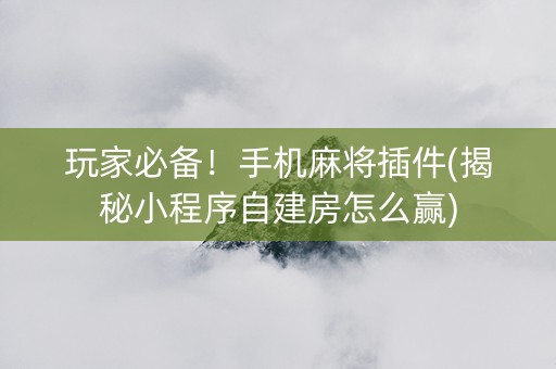 玩家必备！手机麻将插件(揭秘小程序自建房怎么赢)