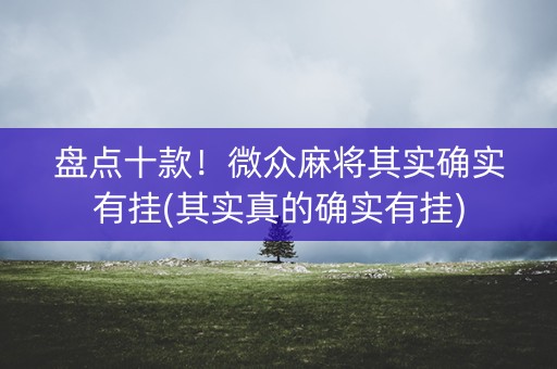 盘点十款！微众麻将其实确实有挂(其实真的确实有挂)