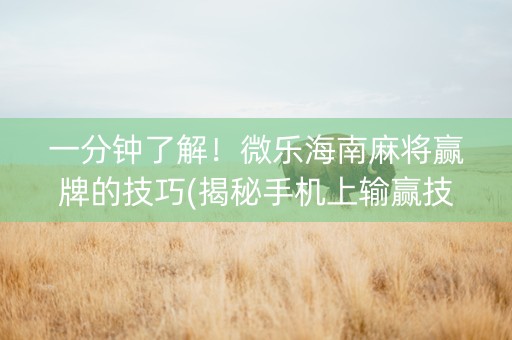 一分钟了解！微乐海南麻将赢牌的技巧(揭秘手机上输赢技巧)