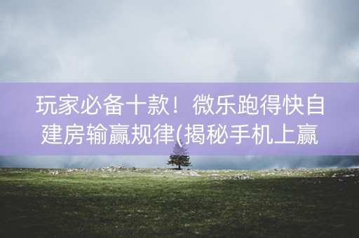 玩家必备十款！微乐跑得快自建房输赢规律(揭秘手机上赢牌的技巧)