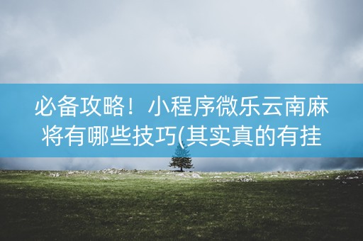 必备攻略！小程序微乐云南麻将有哪些技巧(其实真的有挂)