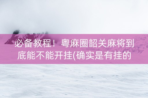必备教程！粤麻圈韶关麻将到底能不能开挂(确实是有挂的)