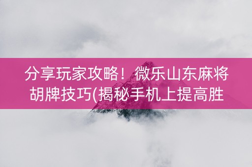 分享玩家攻略！微乐山东麻将胡牌技巧(揭秘手机上提高胜率)