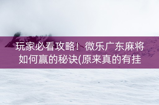 玩家必看攻略！微乐广东麻将如何赢的秘诀(原来真的有挂)