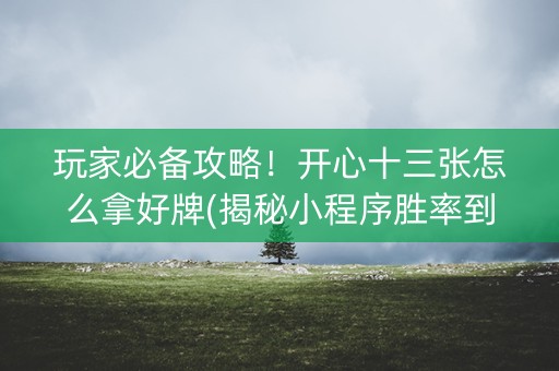 玩家必备攻略！开心十三张怎么拿好牌(揭秘小程序胜率到哪调)