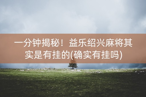 一分钟揭秘！益乐绍兴麻将其实是有挂的(确实有挂吗)