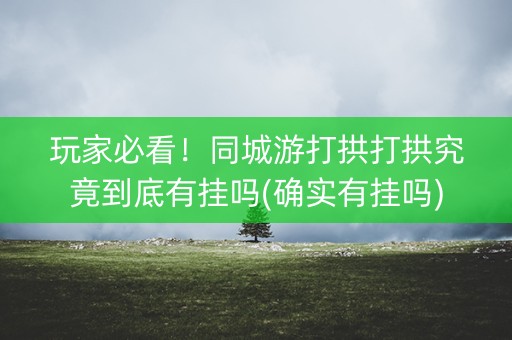 玩家必看！同城游打拱打拱究竟到底有挂吗(确实有挂吗)