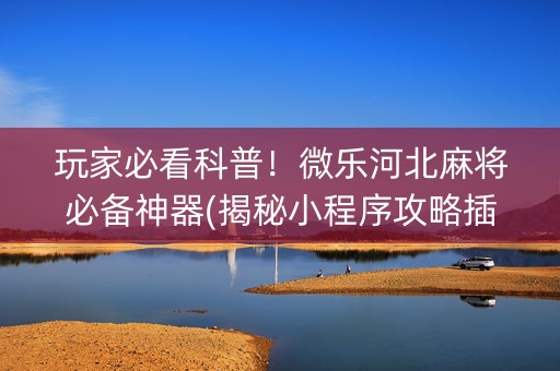 玩家必看科普！微乐河北麻将必备神器(揭秘小程序攻略插件)