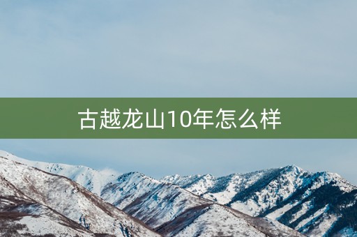 古越龙山10年怎么样