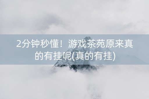2分钟秒懂！游戏茶苑原来真的有挂呢(真的有挂)