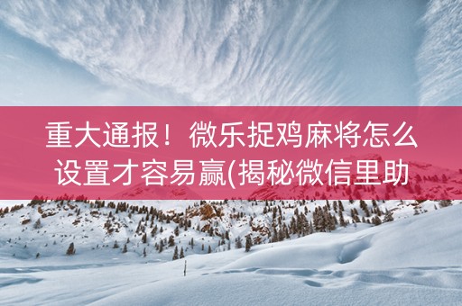 重大通报！微乐捉鸡麻将怎么设置才容易赢(揭秘微信里助手软件)