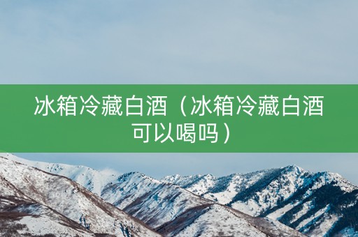 冰箱冷藏白酒（冰箱冷藏白酒可以喝吗）