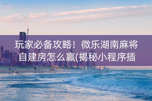 玩家必备攻略！微乐湖南麻将自建房怎么赢(揭秘小程序插件下载)