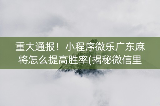 重大通报！小程序微乐广东麻将怎么提高胜率(揭秘微信里最新神器下载)