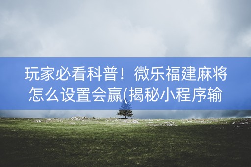 玩家必看科普！微乐福建麻将怎么设置会赢(揭秘小程序输赢规律)