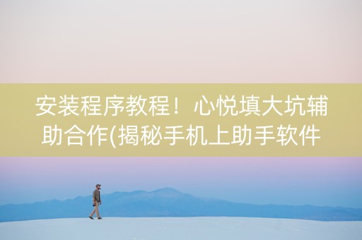 安装程序教程！心悦填大坑辅助合作(揭秘手机上助手软件)
