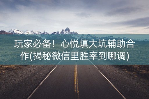 玩家必备！心悦填大坑辅助合作(揭秘微信里胜率到哪调)