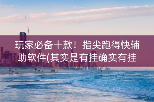 玩家必备十款！指尖跑得快辅助软件(其实是有挂确实有挂)