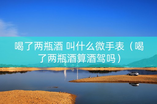 喝了两瓶酒 叫什么微手表（喝了两瓶酒算酒驾吗）