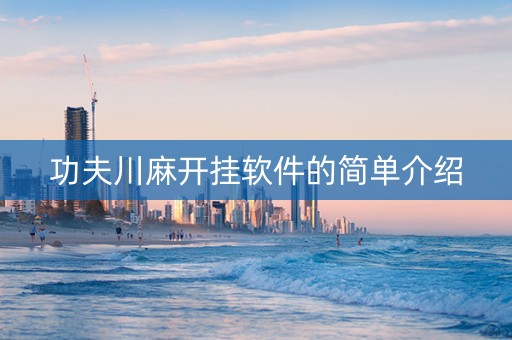 功夫川麻开挂软件的简单介绍