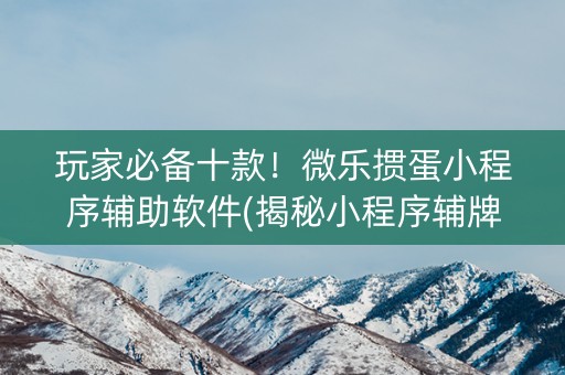 玩家必备十款！微乐掼蛋小程序辅助软件(揭秘小程序辅牌器)