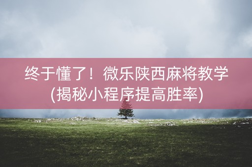 终于懂了！微乐陕西麻将教学(揭秘小程序提高胜率)