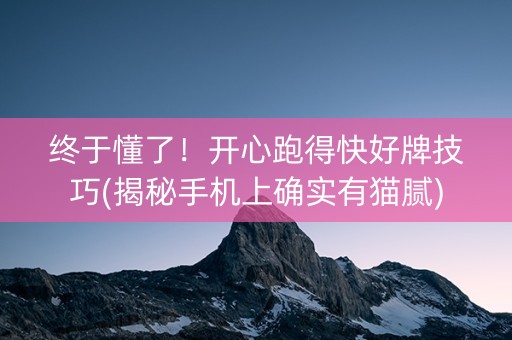终于懂了！开心跑得快好牌技巧(揭秘手机上确实有猫腻)