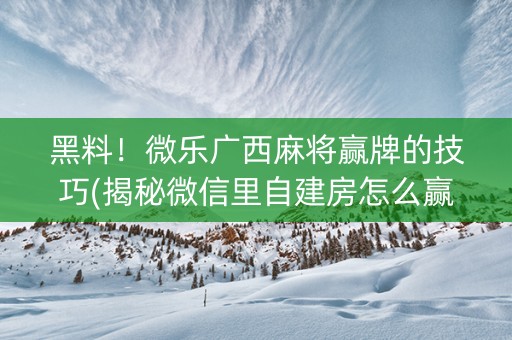 黑料！微乐广西麻将赢牌的技巧(揭秘微信里自建房怎么赢)