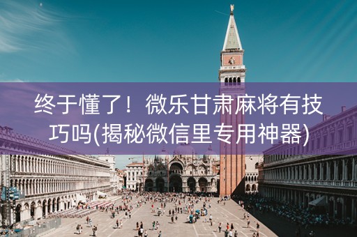 终于懂了！微乐甘肃麻将有技巧吗(揭秘微信里专用神器)