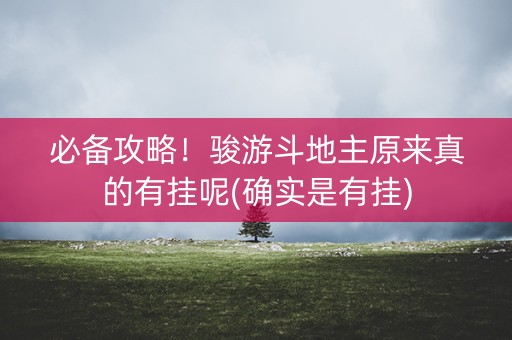必备攻略！骏游斗地主原来真的有挂呢(确实是有挂)