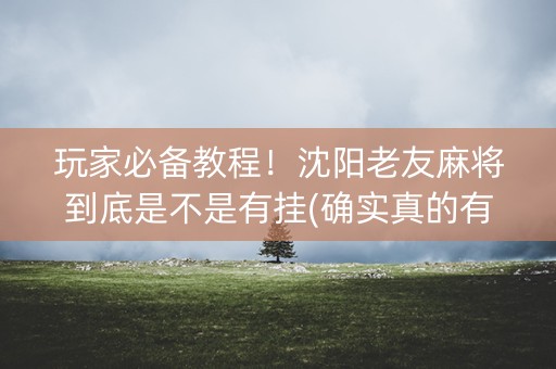玩家必备教程！沈阳老友麻将到底是不是有挂(确实真的有挂)
